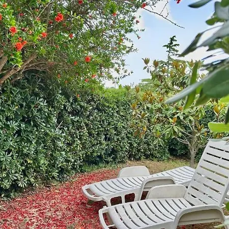 N106 - Numana, Con Giardino E Vista Mare Dx Numana