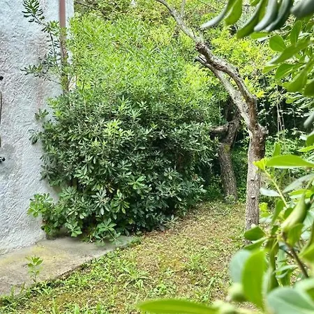 N106 - Numana, Con Giardino E Vista Mare Dx Apartamento *