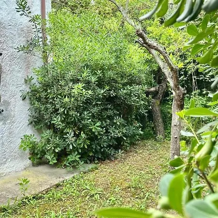N106 - Numana, Con Giardino E Vista Mare Dx Apartment *